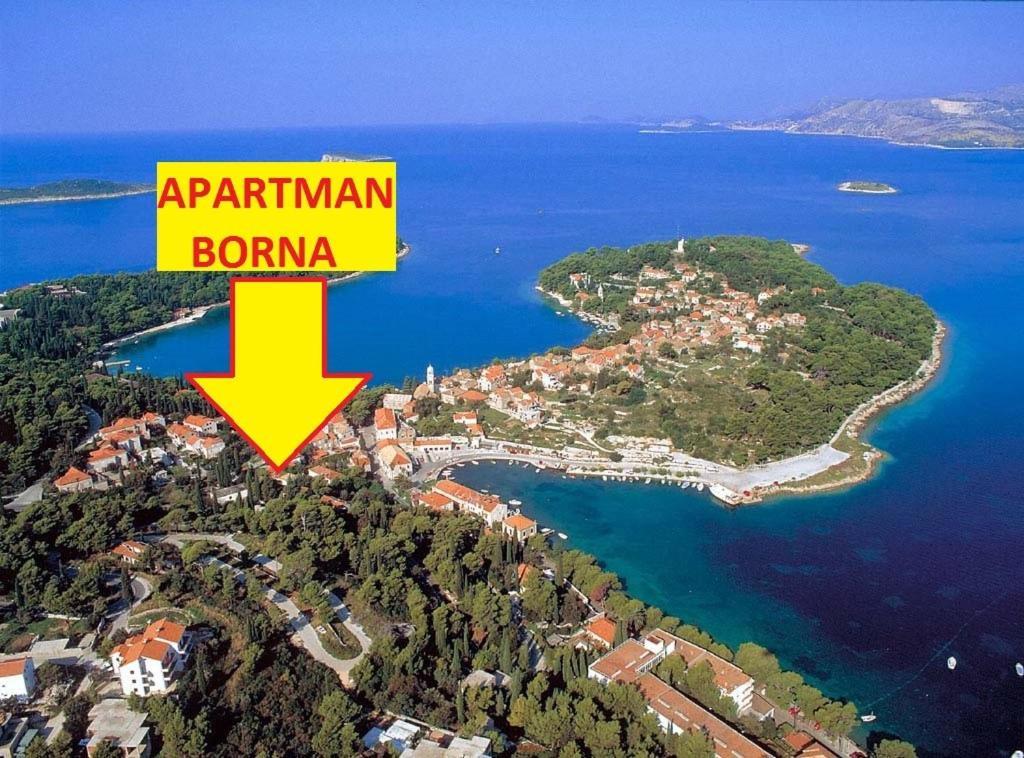 Apartment Borna Cavtat Zewnętrze zdjęcie